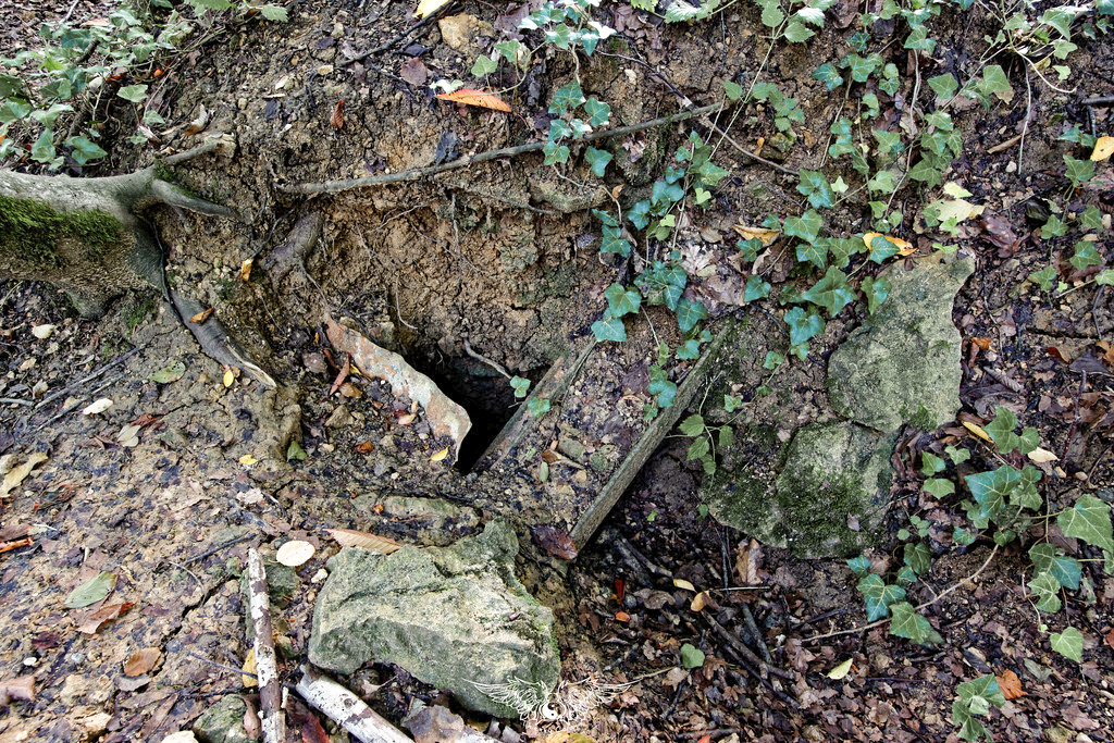 Ligne Maginot - DO7 - GRAND BOIS - (Observatoire d'artillerie) - Les restes; tôles métro et poutres - Thierry Caland