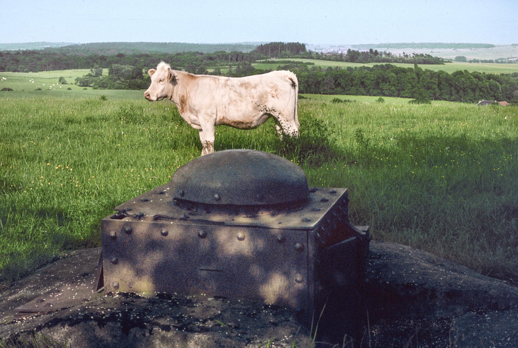 Ligne Maginot - DO8 - CHINAUVEAU - (Observatoire d'artillerie) -  - MANSUY Michel