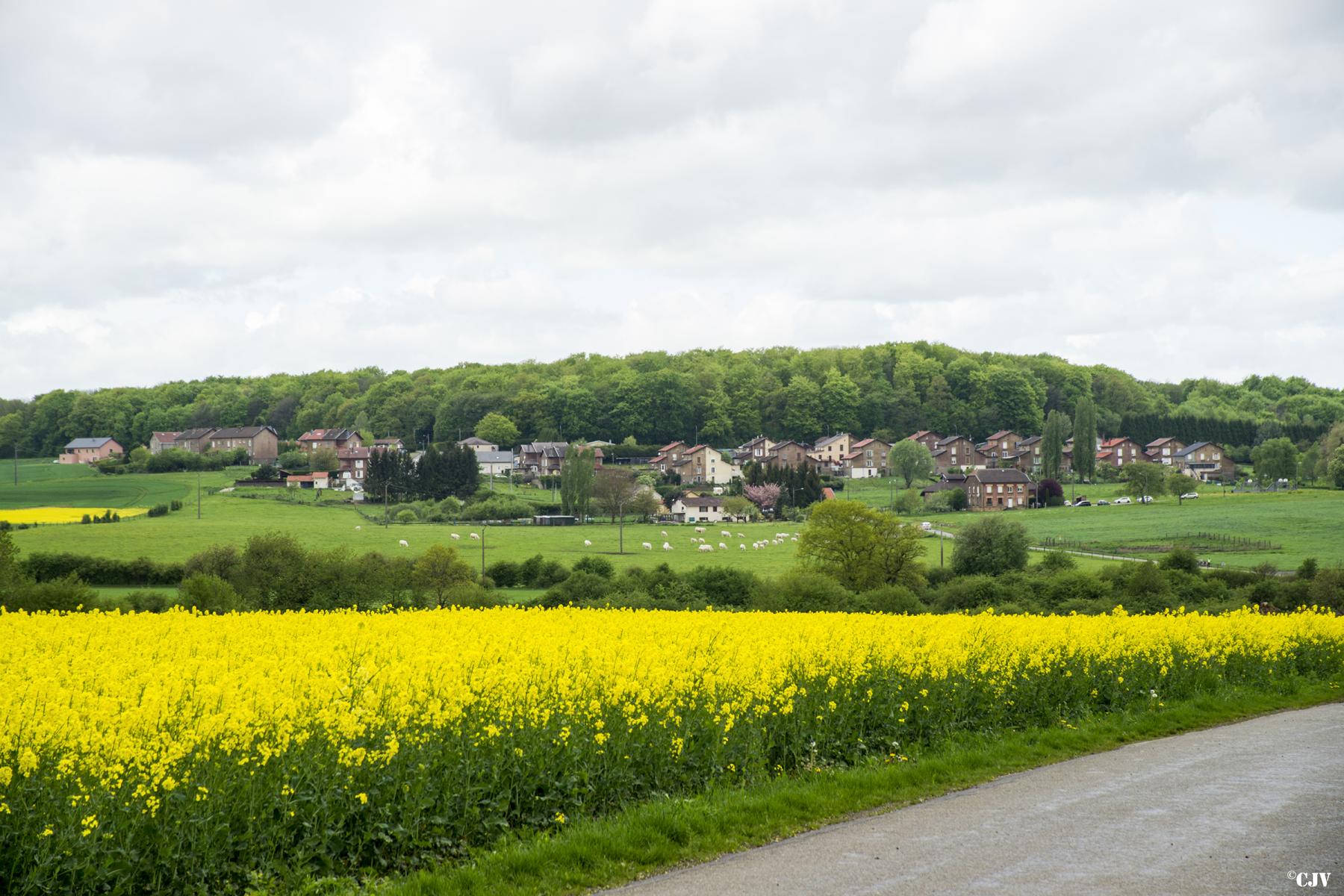 Ligne Maginot - DONCOURT CITé - (Cité Cadres) -  - Lia VERMEULEN
