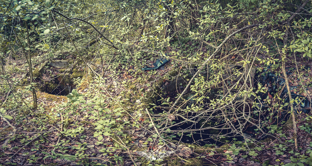 Ligne Maginot - Dt24a - BOIS de CALVERT - (Cuve pour arme d'infanterie) -  - Thierry Caland