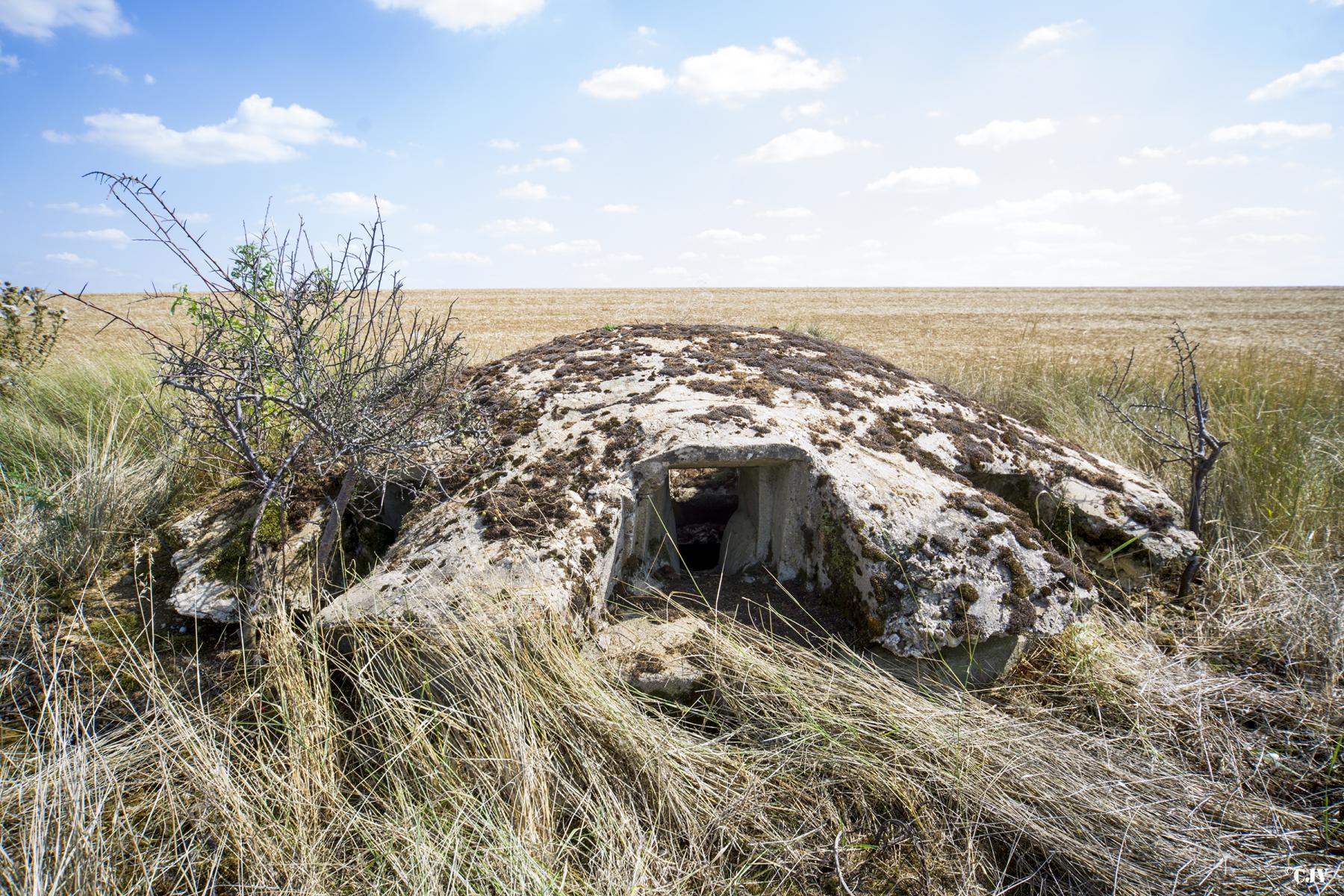 Ligne Maginot - DT25 - (Cuve pour arme d'infanterie) -  - Lia VERMEULEN