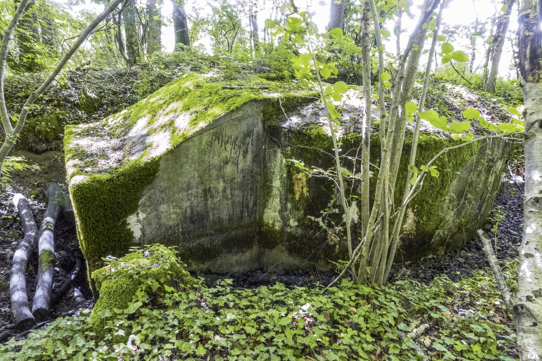 Ligne Maginot - DT32 - (Cuve pour arme d'infanterie) -       - Lia VERMEULEN