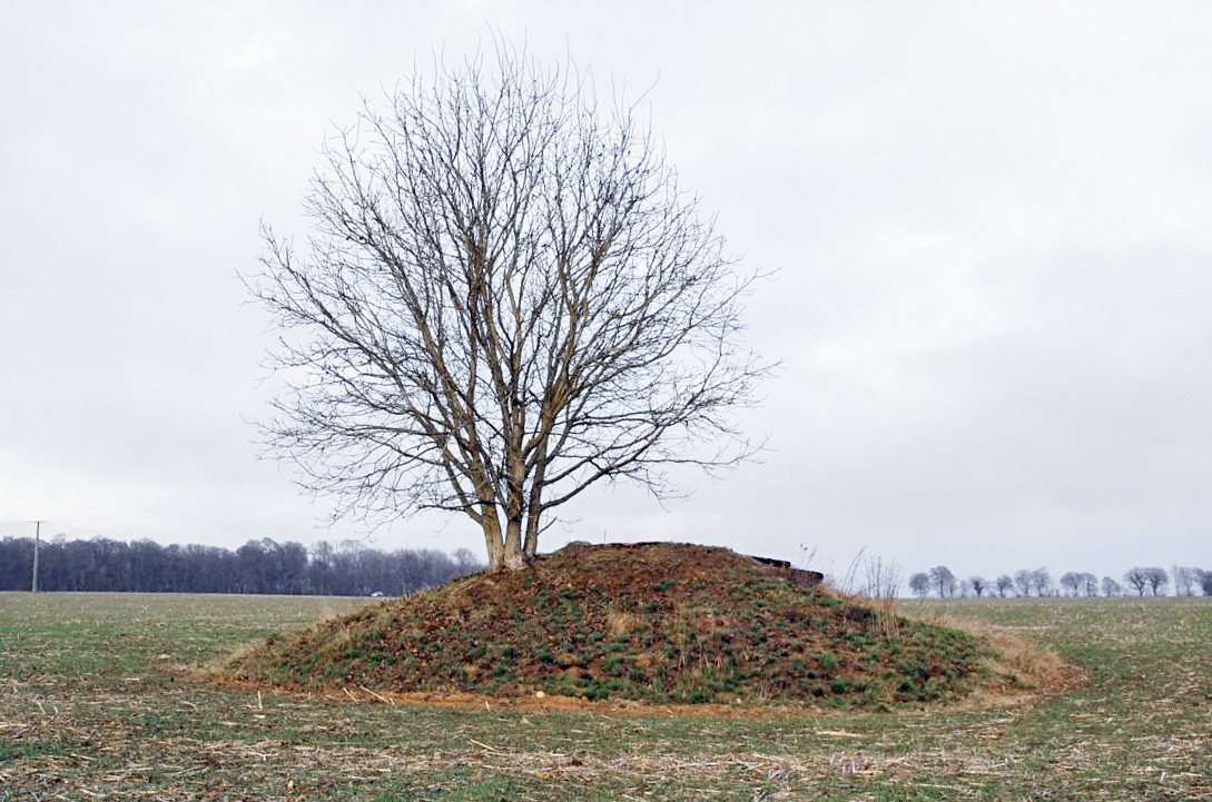 Ligne Maginot - DT262 - FROIDCUL OUEST - (Cuve pour arme d'infanterie) - Vue de l'arrière - Christian RICHON / Devoitine520