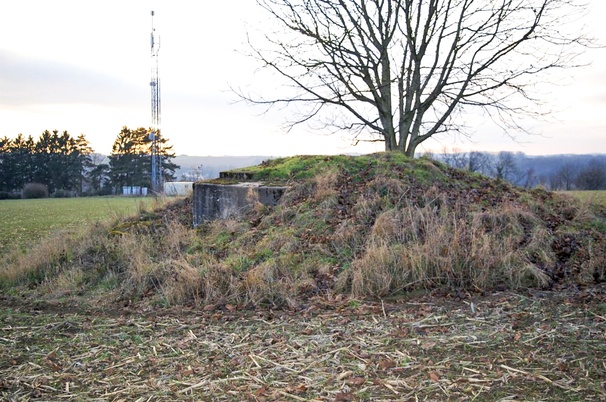 Ligne Maginot - DT262 - FROIDCUL OUEST - (Cuve pour arme d'infanterie) - Vue de face - Christian RICHON / Devoitine520