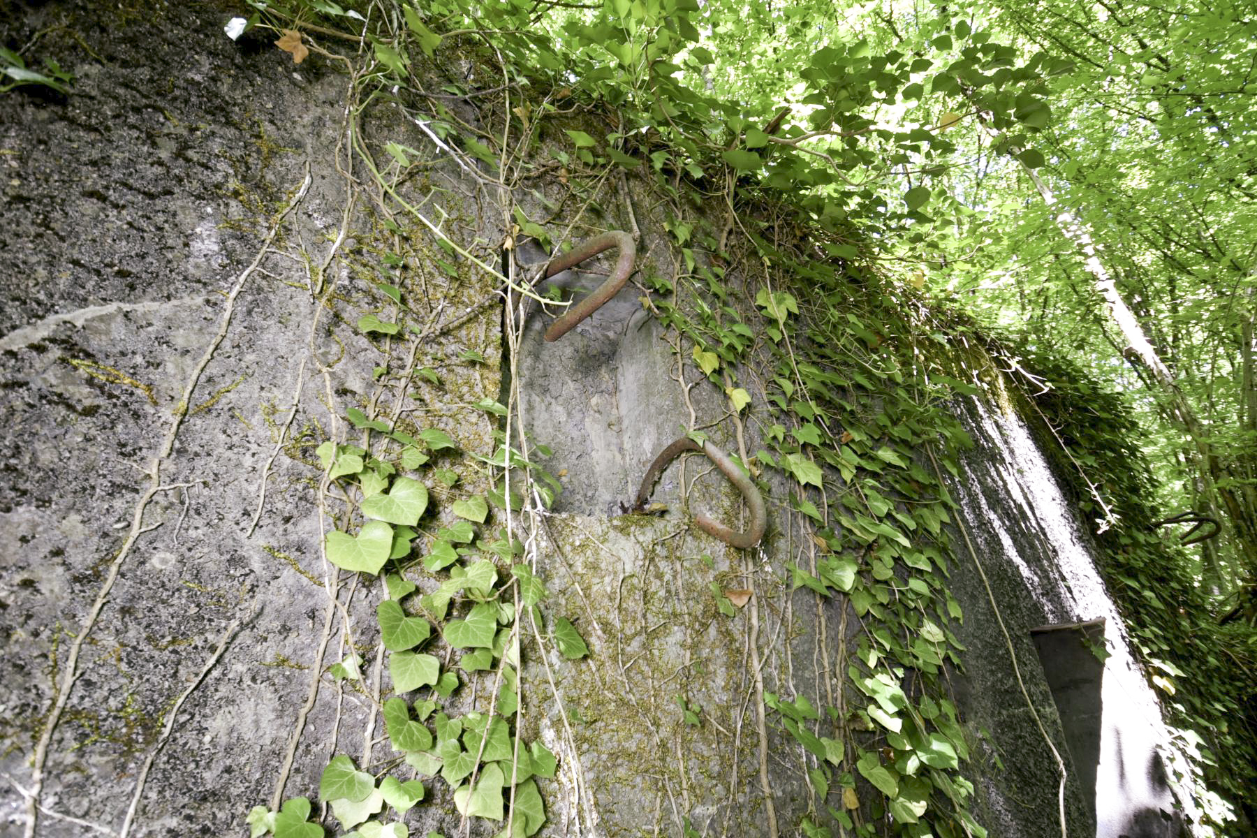 Ligne Maginot - GRAND BOIS EST - (PC) -  - Ludovic KNAPP