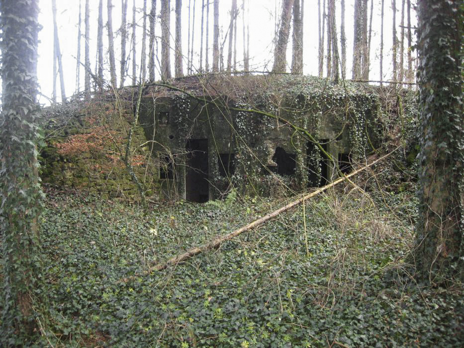 Ligne Maginot - Vue sur les 2 alveoles - 