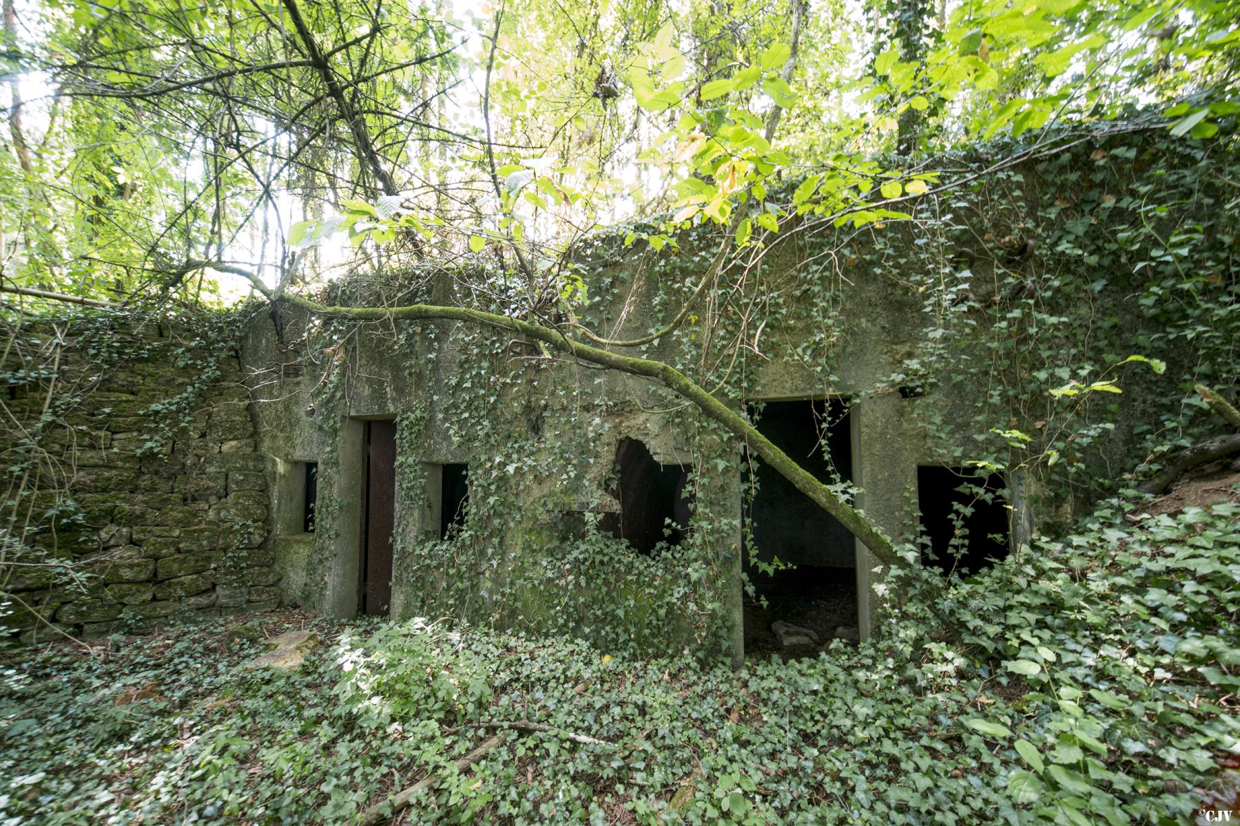 Ligne Maginot - MOREMONT - (PC) -  - Lia VERMEULEN