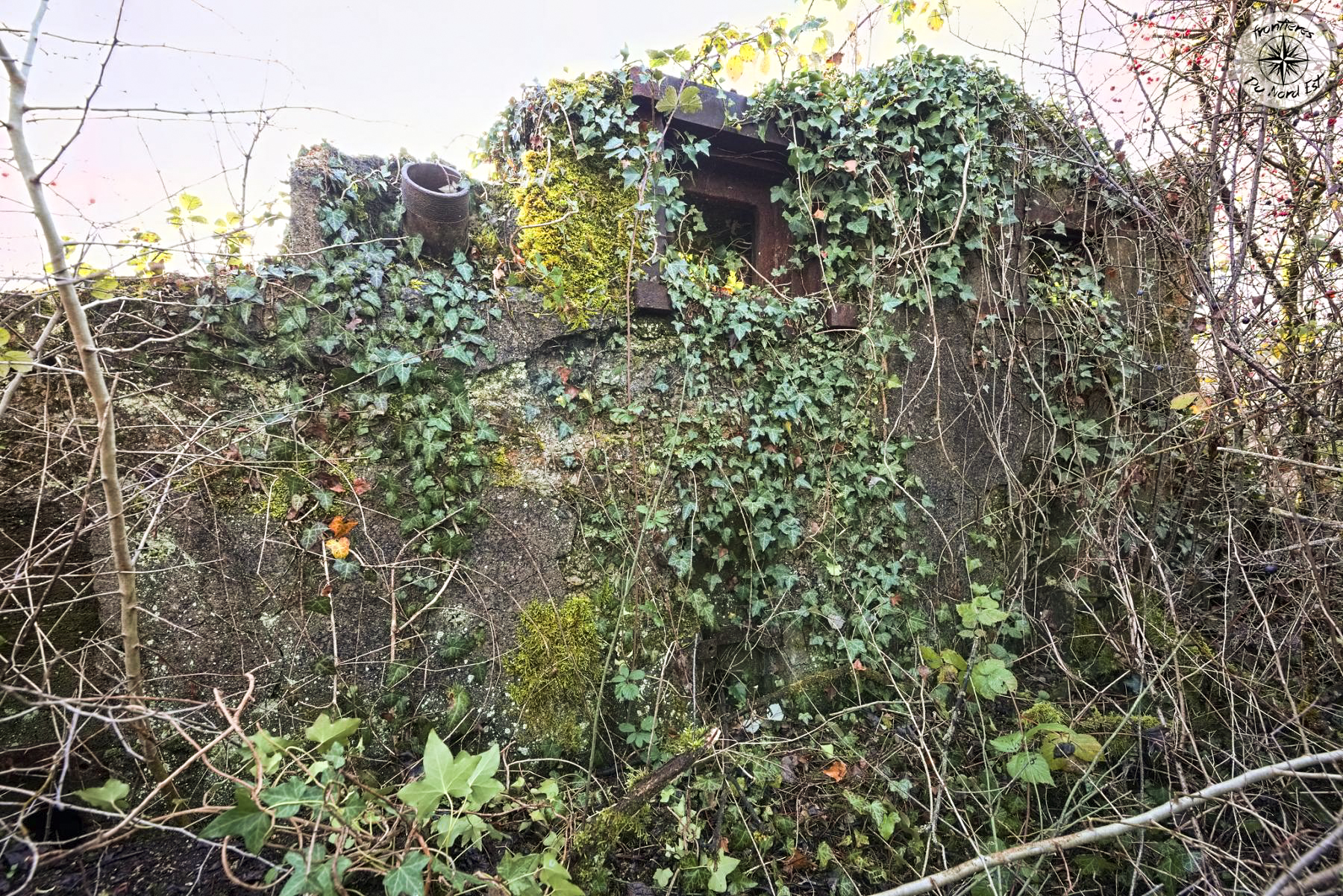 Ligne Maginot - NEUF CHAMP - (Stand de tir) -  - Thierry Caland