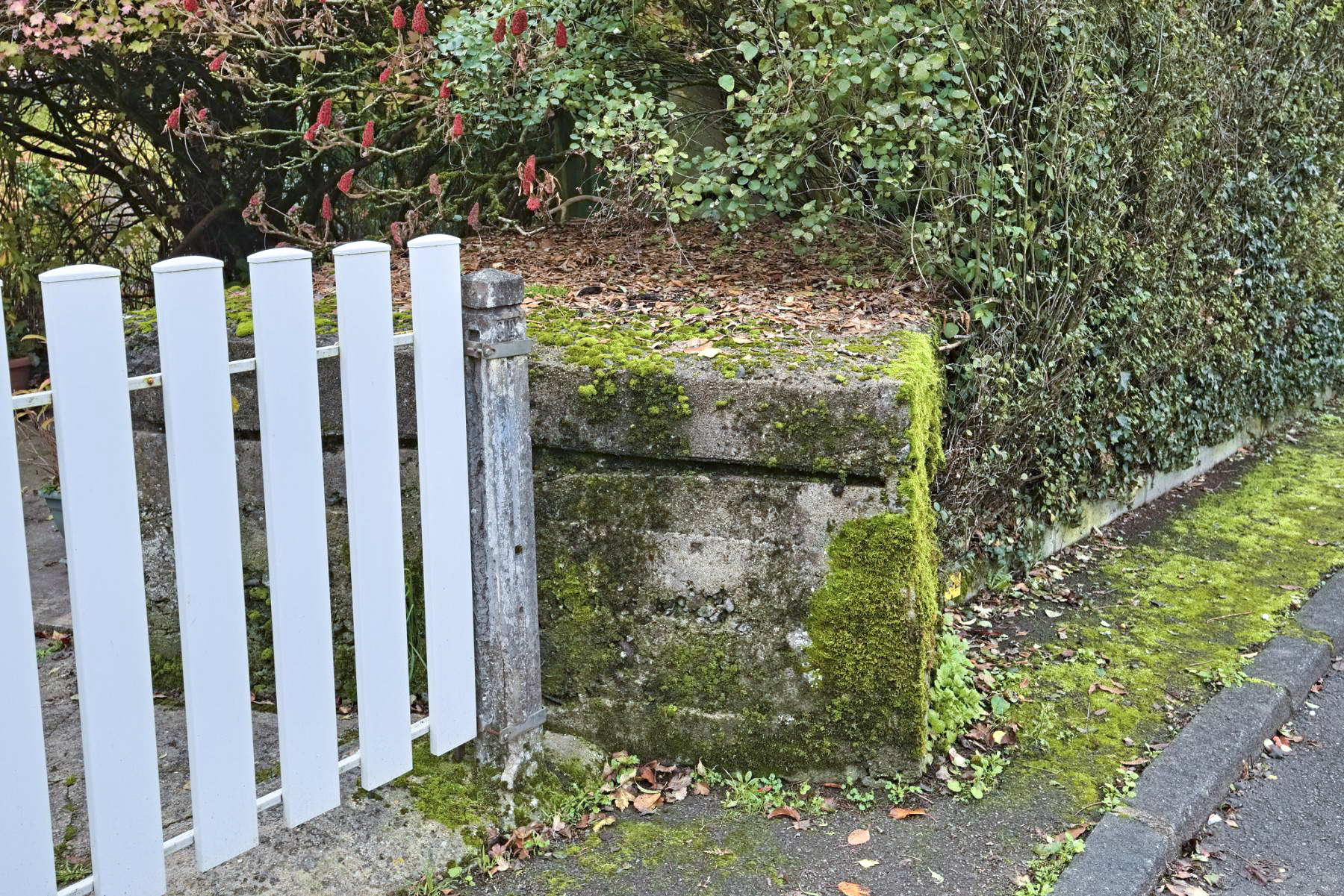 Ligne Maginot - RUE POINCARE - (Blockhaus pour arme infanterie) -  - thierry caland