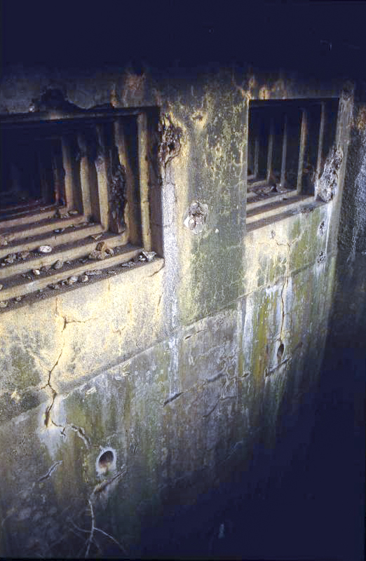 Ligne Maginot - BOIS DU FOUR - A5 - (Ouvrage d'infanterie) - Les créneaux des chambres de tir Ouest