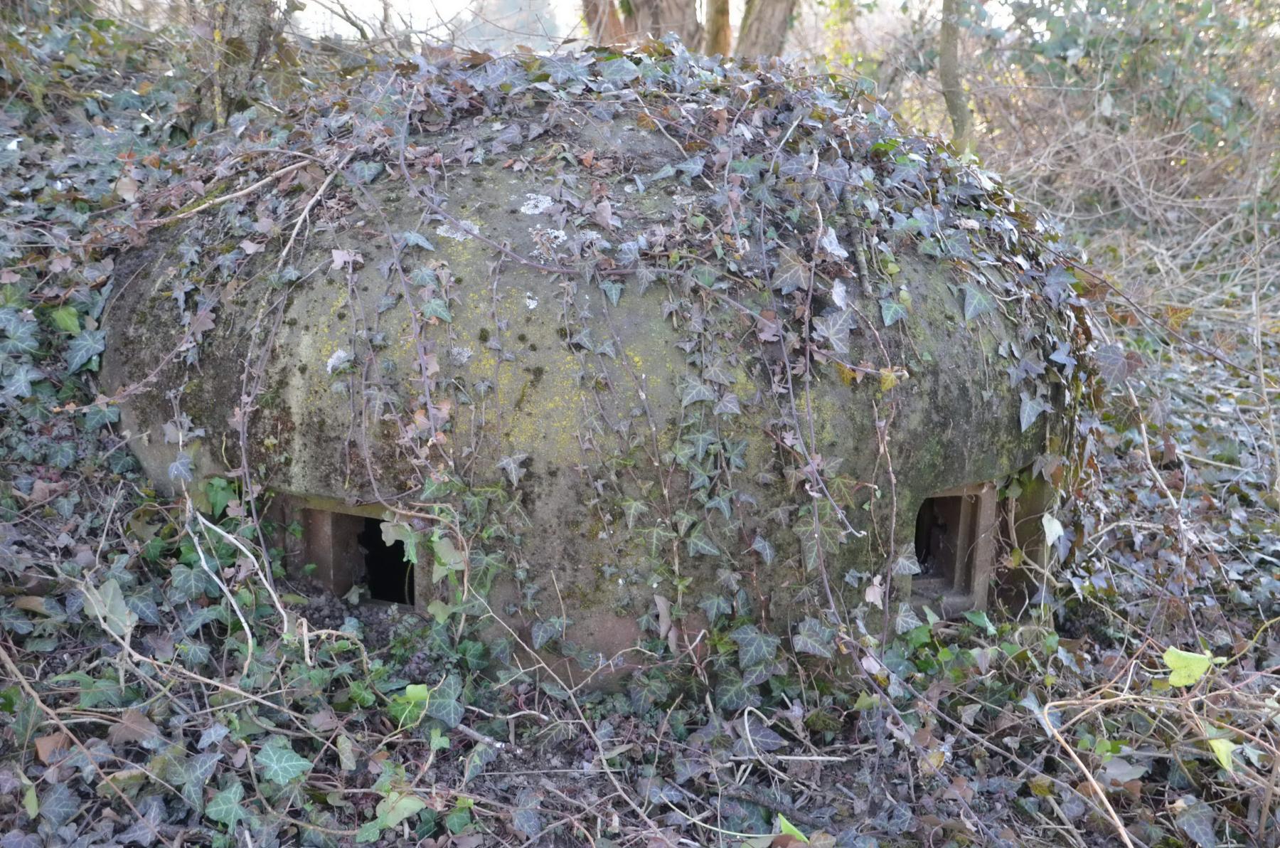 Ligne Maginot - 34/2 - CHALAMPE NORD OUEST - (Casemate d'infanterie - Double) - Cloche GFM nord