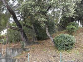 Ligne Maginot - CAP MARTIN - (Ouvrage d'artillerie) - La grille ceinturant l'ouvrage, faute de pouvoir installer un réseau de barbelé dans ce quartier résidentiel.