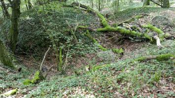 Ligne Maginot - SCHAFBUSCH - (PC de Sous-Quartier) - Le premier alvéole