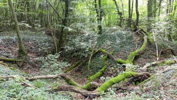 Ligne Maginot - SCHAFBUSCH - (PC de Sous-Quartier) - Le deuxième alvéole, plus bas