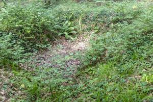 Ligne Maginot - SCHAFBUSCH - (PC de Sous-Quartier) - Une fouille