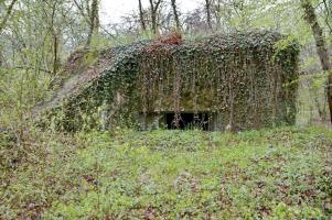 Ligne Maginot - PA DU CARREFOUR 248-1 - (Blockhaus pour canon) - Blockhaus comprenant une pièce pour un canon.