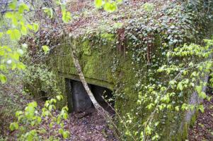 Ligne Maginot - PA DU CARREFOUR 248-1 - (Blockhaus pour canon) - L'entrée pour le canon