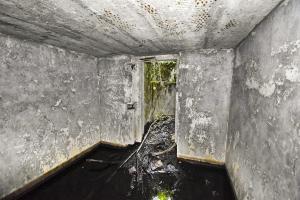 Ligne Maginot - T493 - PA DU CARREFOUR 248 - (Cuve pour arme d'infanterie) - L'abri vu vers la TD