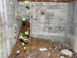 Ligne Maginot - CB150 - HASDORFEROD NORD - (Blockhaus pour arme infanterie) - On aperçoit la présence des planches de coffrage dans chaque ouverture.