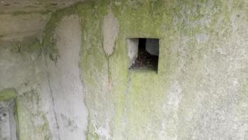 Ligne Maginot - BBO10 - (Blockhaus pour canon) - 