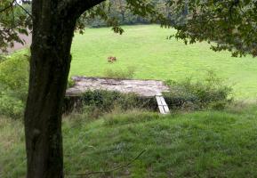 Ligne Maginot - CB1-B - HASDORFEROD SUD - (Blockhaus pour canon) - 