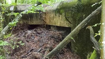Ligne Maginot - HUMMERSBERG - X20 - (Abri) - Coffre Nord