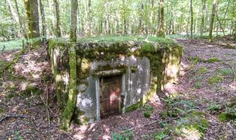 Ligne Maginot - G1 - (Chambre de coupure - Avec central) - Vue du blockhaus