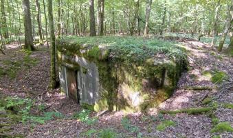 Ligne Maginot - G1 - (Chambre de coupure - Avec central) - Vue du blockhaus