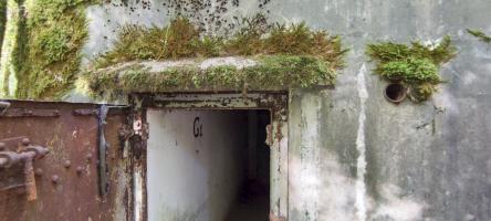 Ligne Maginot - G1 - (Chambre de coupure - Avec central) - Détail haut de la porte