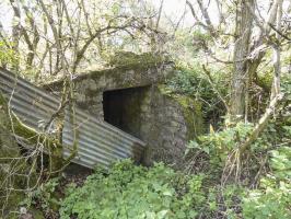 Ligne Maginot - BOMBACHERHOF - FERME BOMBACH (3°BON 166° RIF) - (PC de Quartier) - Annexe gauche
L’accès de l'abri