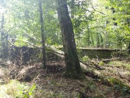 Ligne Maginot - NACHTWEID - (Blockhaus de type indéterminé) - 