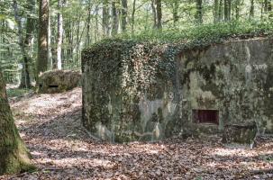Ligne Maginot - CB203 - OBERHEIDE 05 - (Blockhaus pour arme infanterie) - On remarquera la présence d'un petit observatoire à proximité immédiate. Il n'est pas relié toutefois directement au blockhaus.