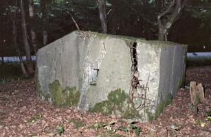 Ligne Maginot - M1B - TAUBRUNNENWALD - (Blockhaus pour arme infanterie) - 