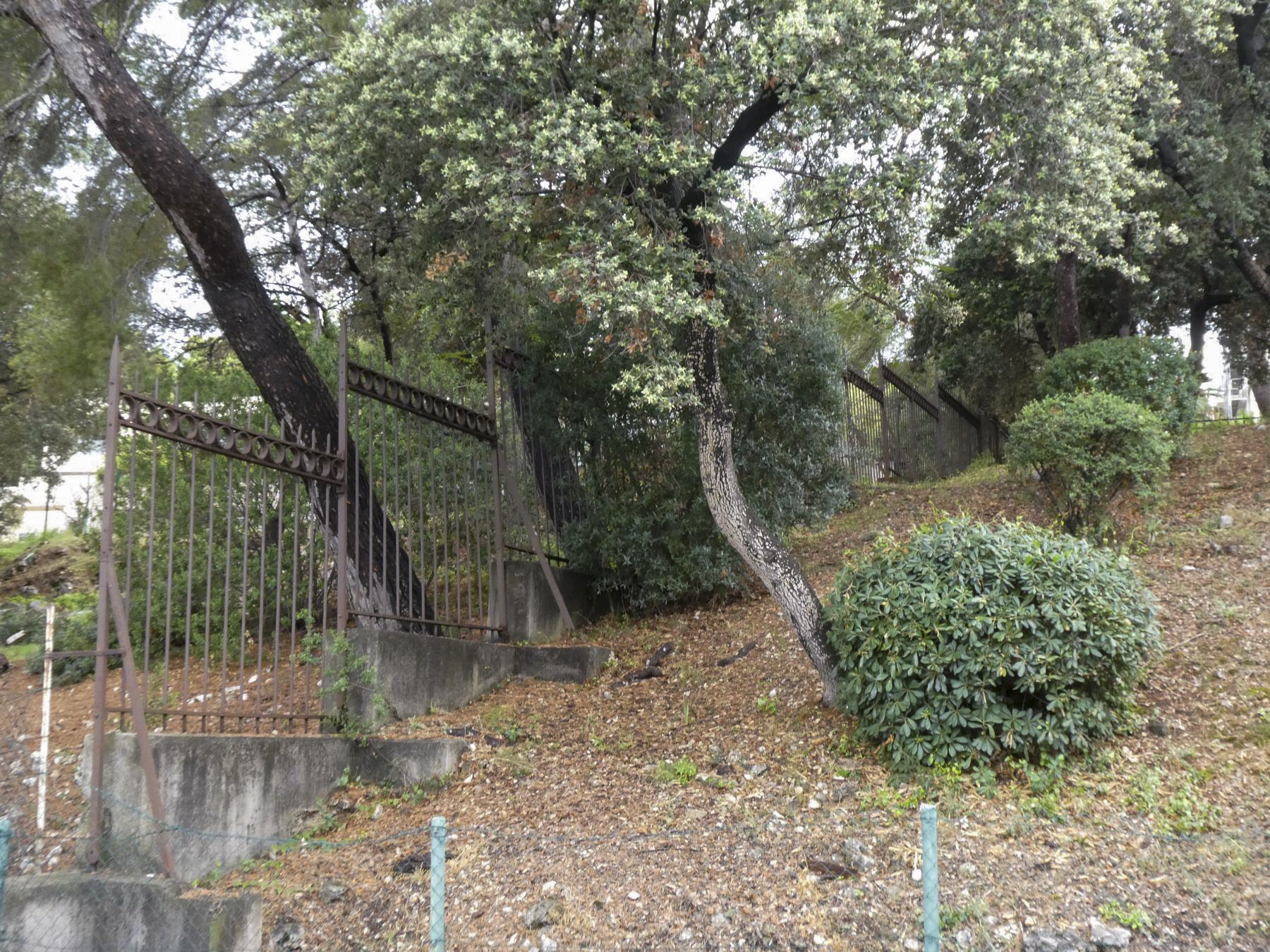 Ligne Maginot - CAP MARTIN - (Ouvrage d'artillerie) - La grille ceinturant l'ouvrage, faute de pouvoir installer un réseau de barbelé dans ce quartier résidentiel. - ELLENA Daniel - CUNY Philippe
