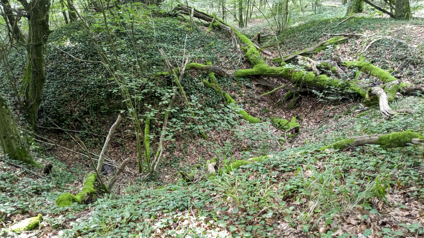 Ligne Maginot - SCHAFBUSCH - (PC de Sous-Quartier) - Le premier alvéole - Marc Fossoul
