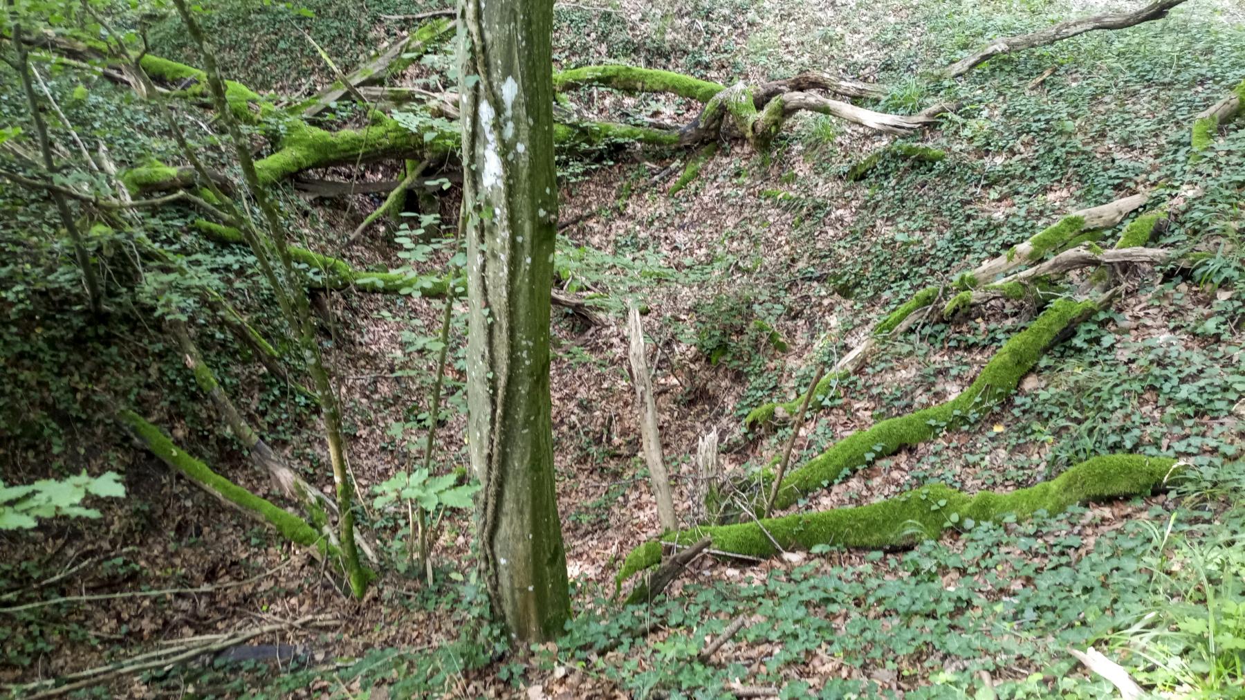 Ligne Maginot - SCHAFBUSCH - (PC de Sous-Quartier) - Le premier alvéole - Marc Fossoul