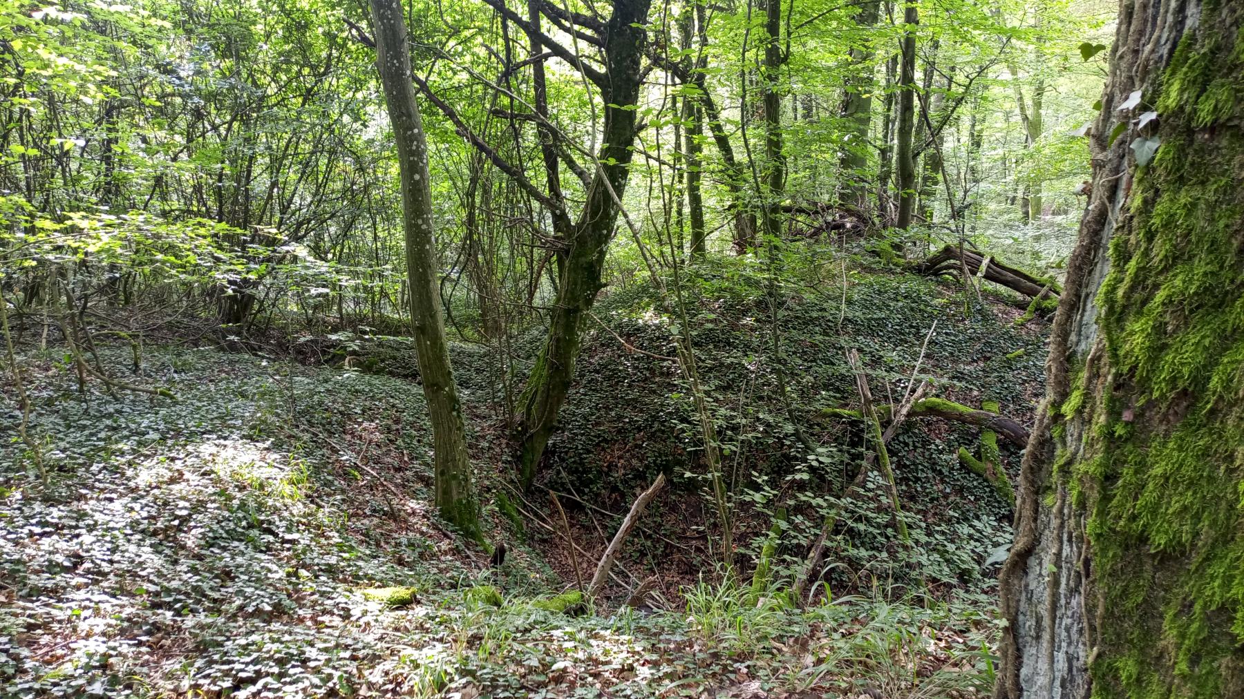 Ligne Maginot - SCHAFBUSCH - (PC de Sous-Quartier) - Le deuxième alvéole, plus bas - Marc Fossoul