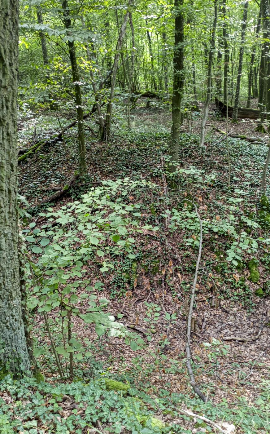 Ligne Maginot - SCHAFBUSCH - (PC de Sous-Quartier) - Le deuxième alvéole, plus bas - Marc Fossoul