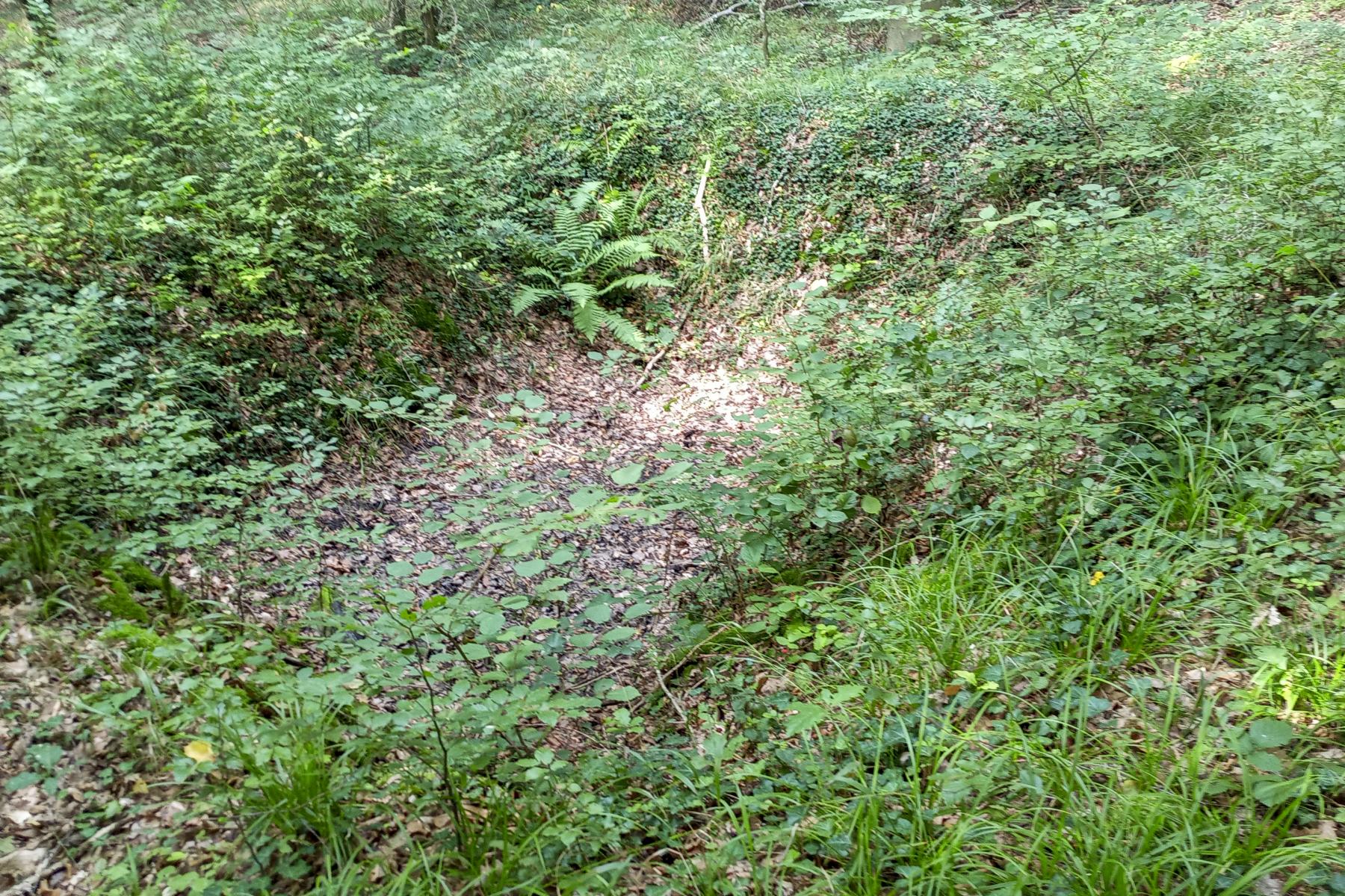 Ligne Maginot - SCHAFBUSCH - (PC de Sous-Quartier) - Une fouille - Marc Fossoul