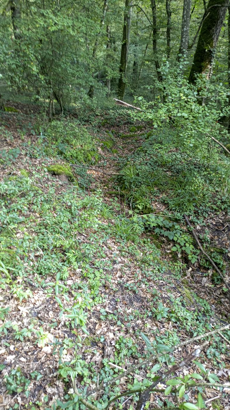 Ligne Maginot - SCHAFBUSCH - (PC de Sous-Quartier) - Tranchée d'accès - Marc Fossoul