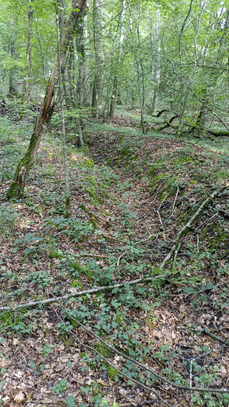 Ligne Maginot - SCHAFBUSCH - (PC de Sous-Quartier) - Tranchée d'accès - Marc Fossoul