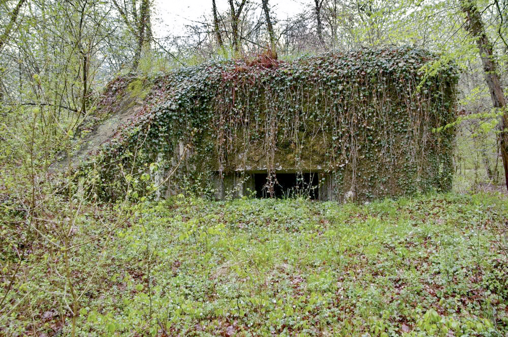 Ligne Maginot - PA DU CARREFOUR 248-1 - (Blockhaus pour canon) - Blockhaus comprenant une pièce pour un canon.