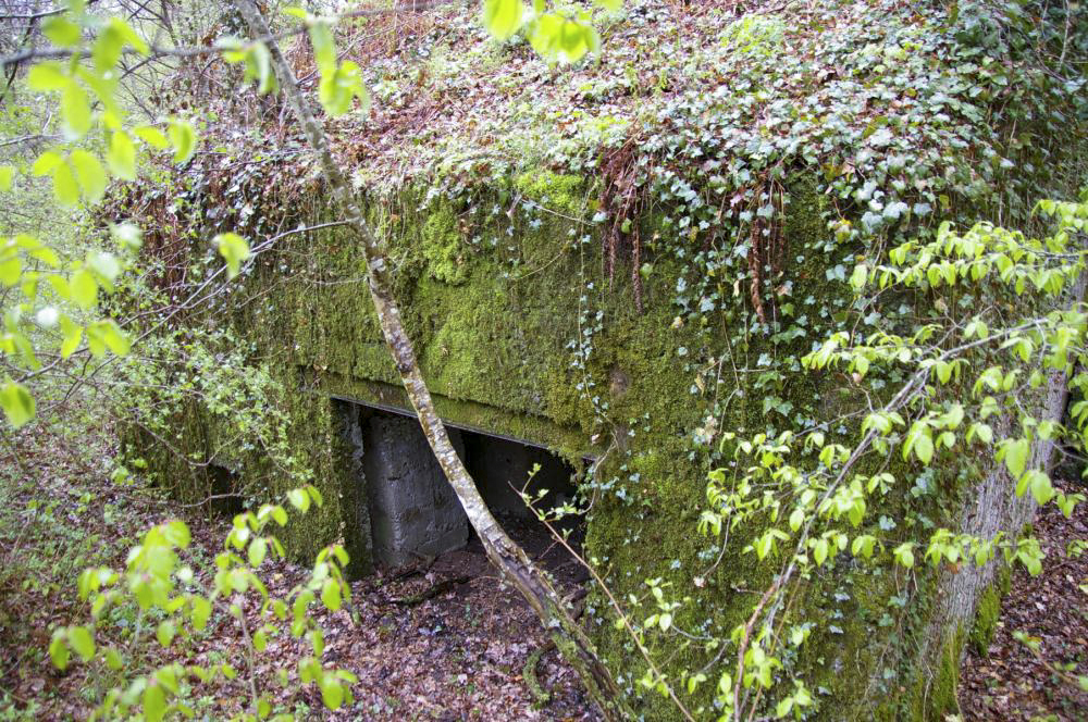 Ligne Maginot - PA DU CARREFOUR 248-1 - (Blockhaus pour canon) - L'entrée pour le canon