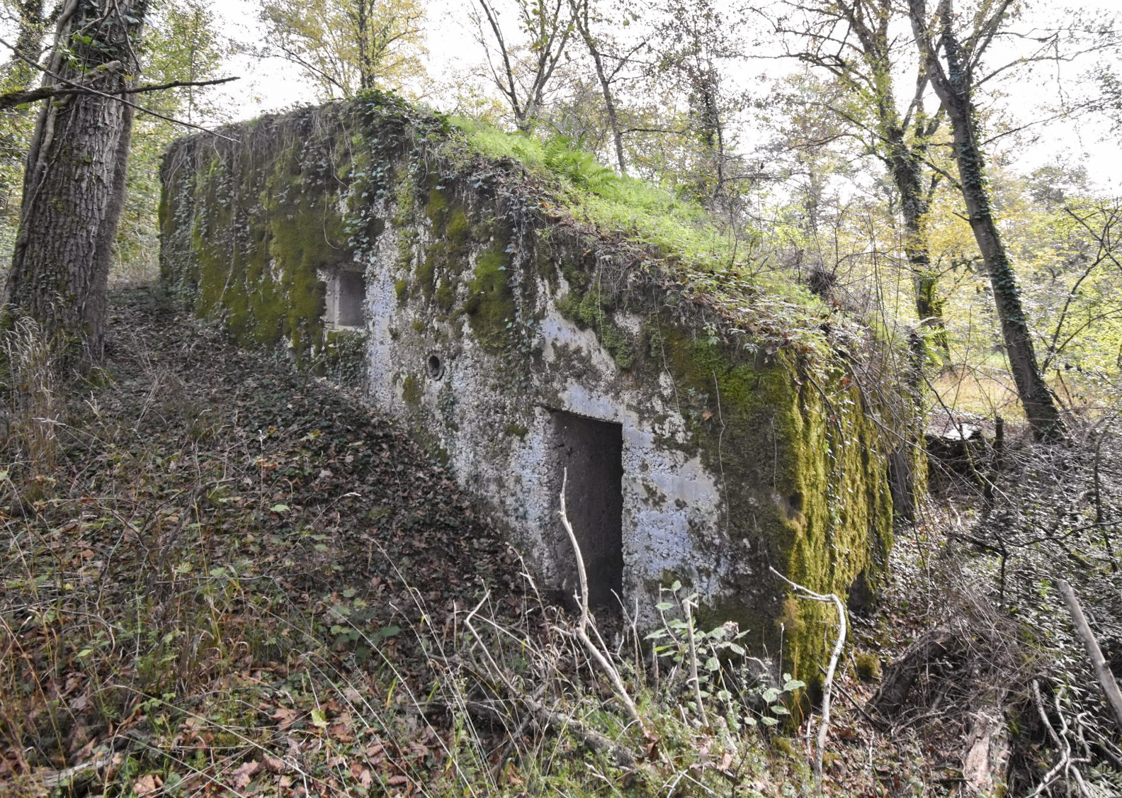 Ligne Maginot - PA DU CARREFOUR 248-1 - (Blockhaus pour canon) - Créneau FM et entrée du personnel  - Daniel Froehly