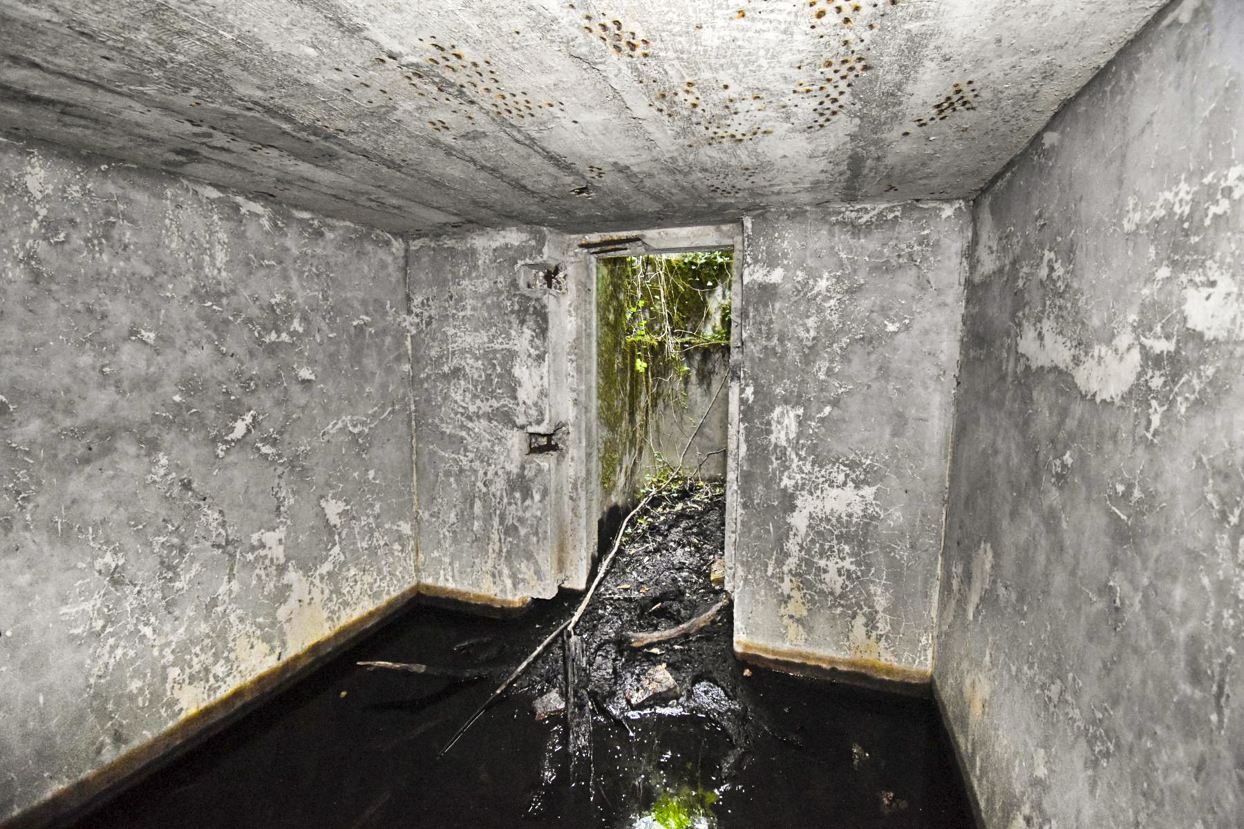 Ligne Maginot - T493 - PA DU CARREFOUR 248 - (Cuve pour arme d'infanterie) - L'abri vu vers la TD - Daniel Froehly