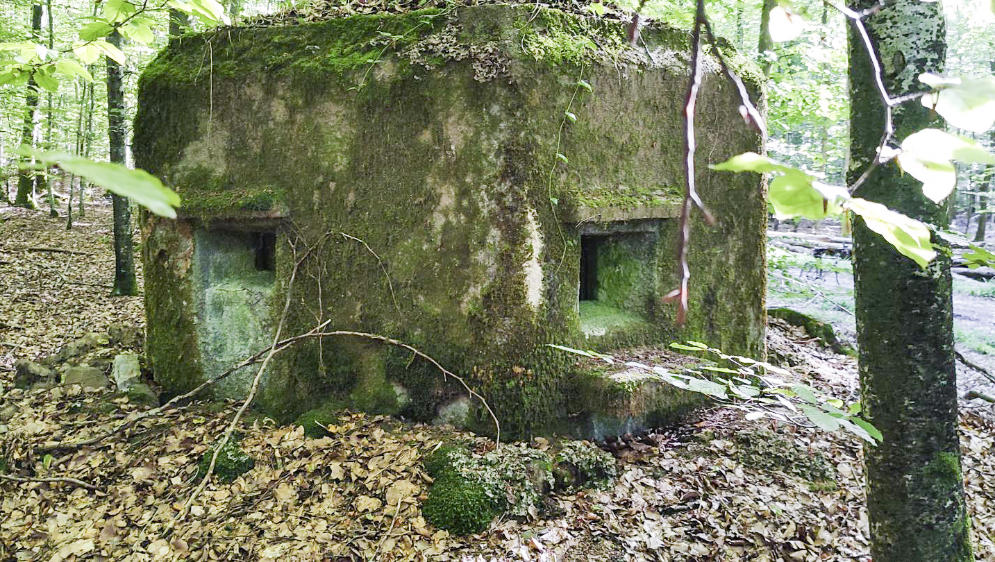 Ligne Maginot - FM52 - VERLORENERBACH 3 - (Blockhaus pour arme infanterie) - Façade  - J.L