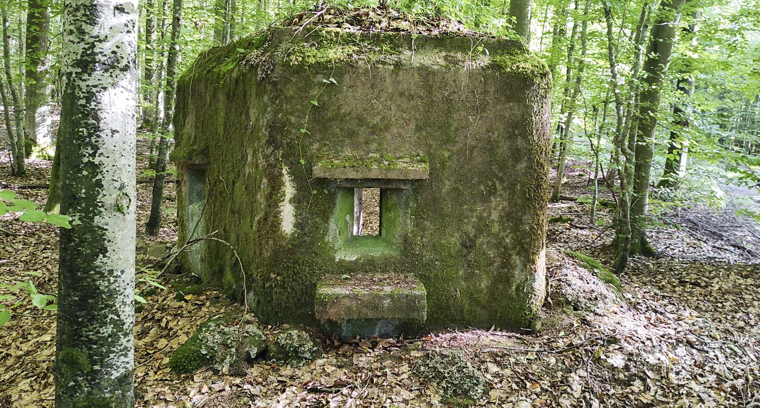 Ligne Maginot - FM52 - VERLORENERBACH 3 - (Blockhaus pour arme infanterie) - Façade - J.L