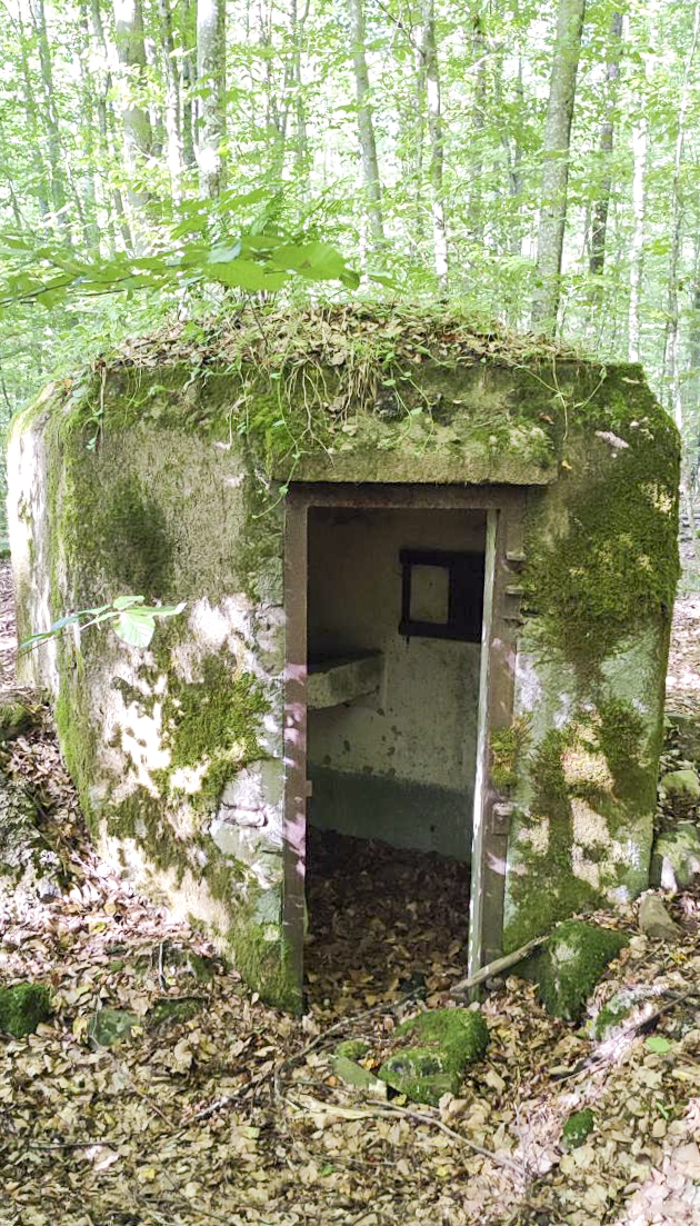 Ligne Maginot - FM52 - VERLORENERBACH 3 - (Blockhaus pour arme infanterie) - Entrée  - J.L