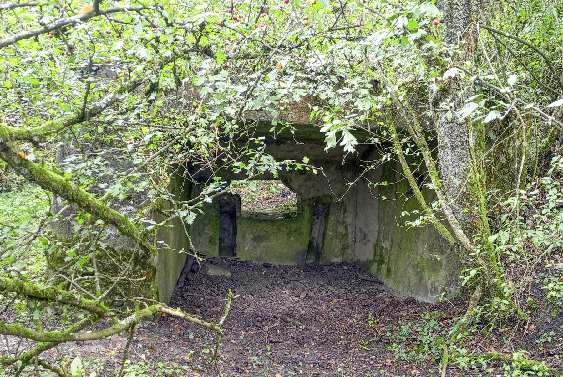 Ligne Maginot - BBO10 - (Blockhaus pour canon) -  - Marc Fossoul