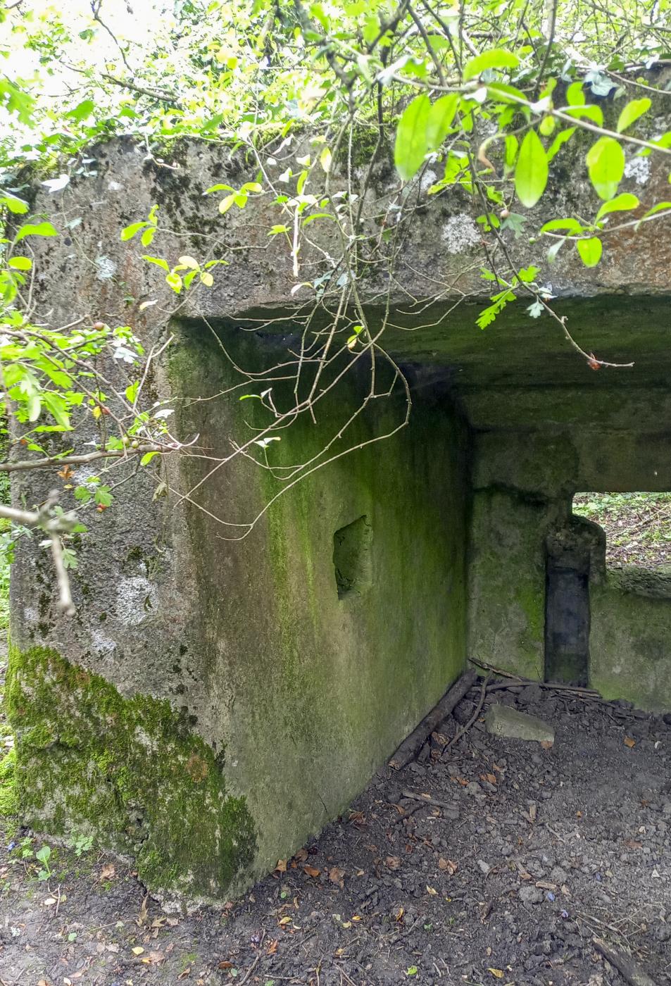 Ligne Maginot - BBO10 - (Blockhaus pour canon) -  - Marc Fossoul